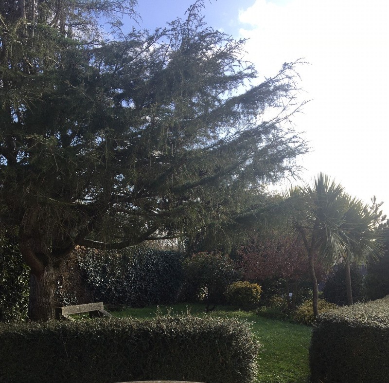 Vue sur la terrasse et le jardin depuis la cuisine.