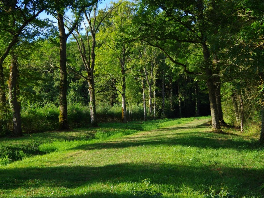 une allée piétonne vous permet de faire le tour du plan d'eau de Cercey