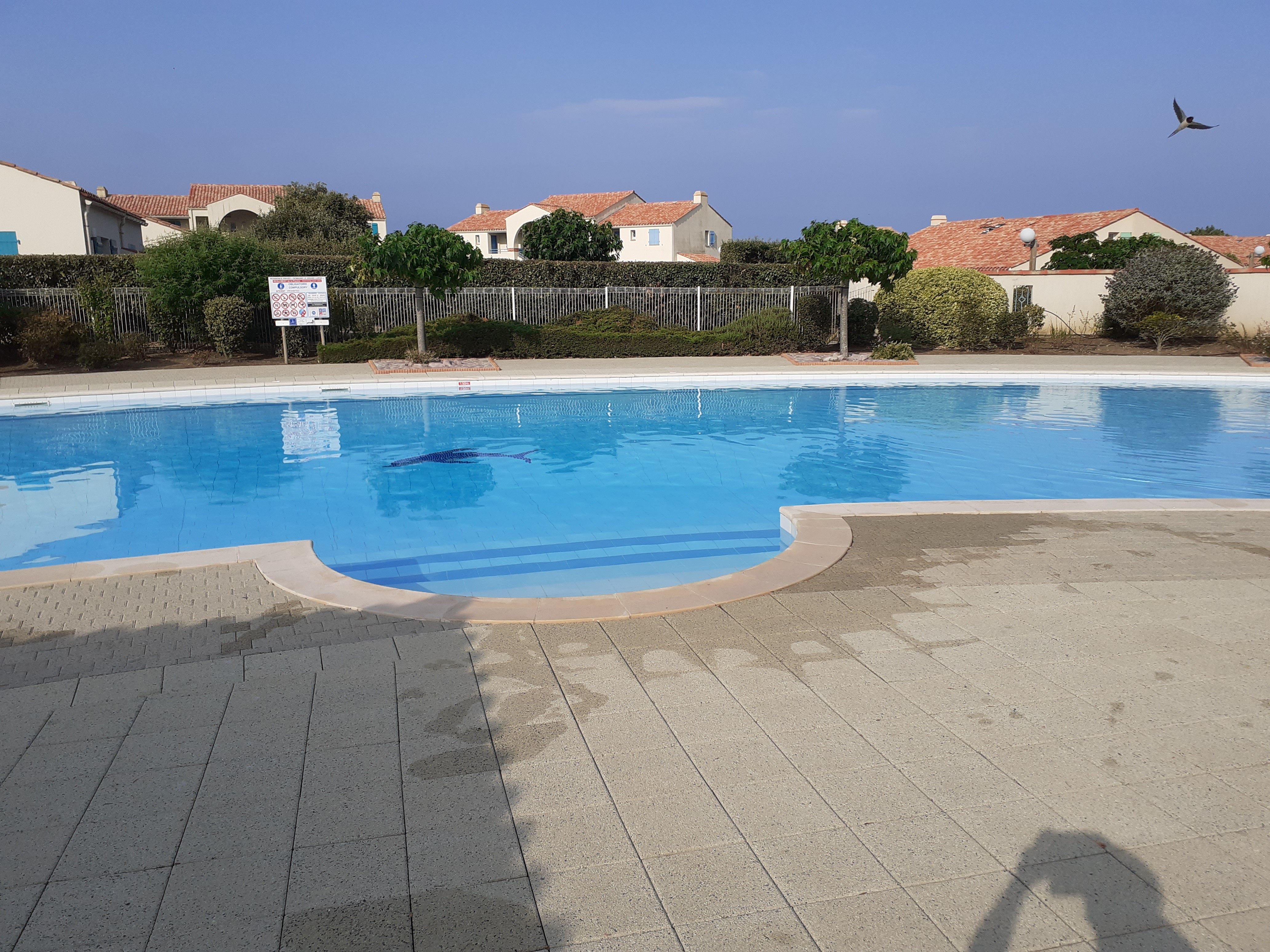 Photo n° 19 de la location