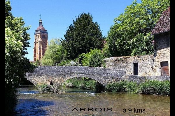 Arbois 9 kms away