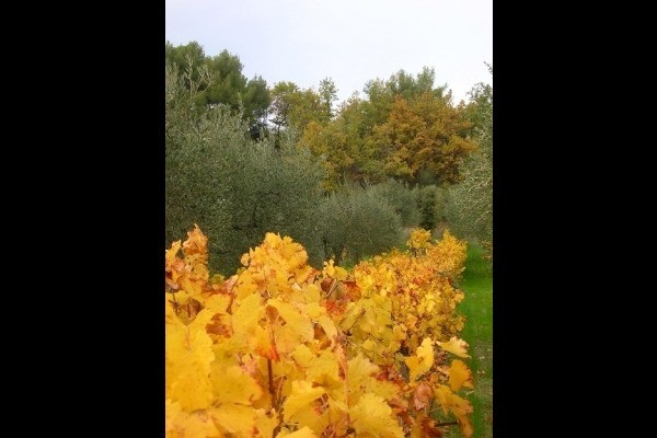 Photo n° 13 de la location