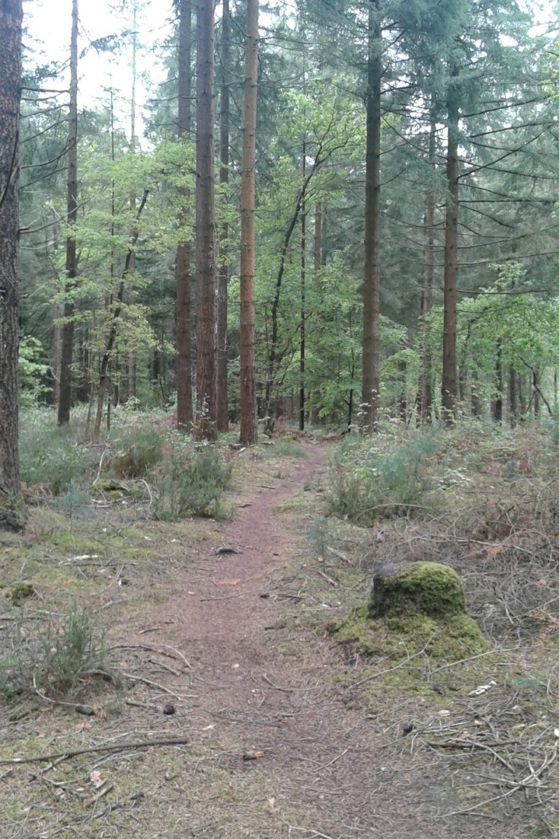 Photo n° 18 of the location