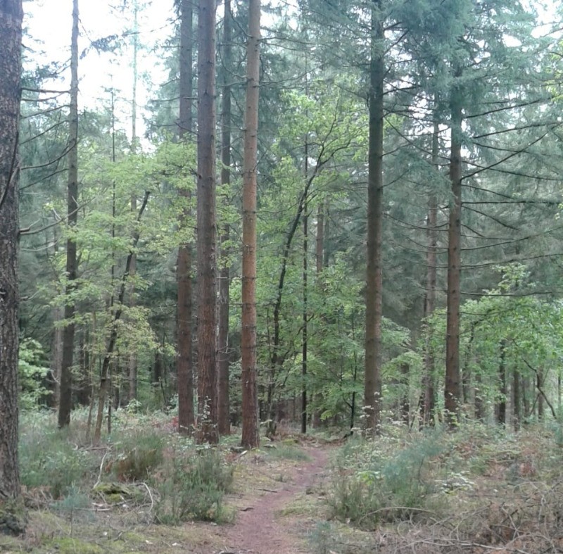 Photo n° 19 of the location