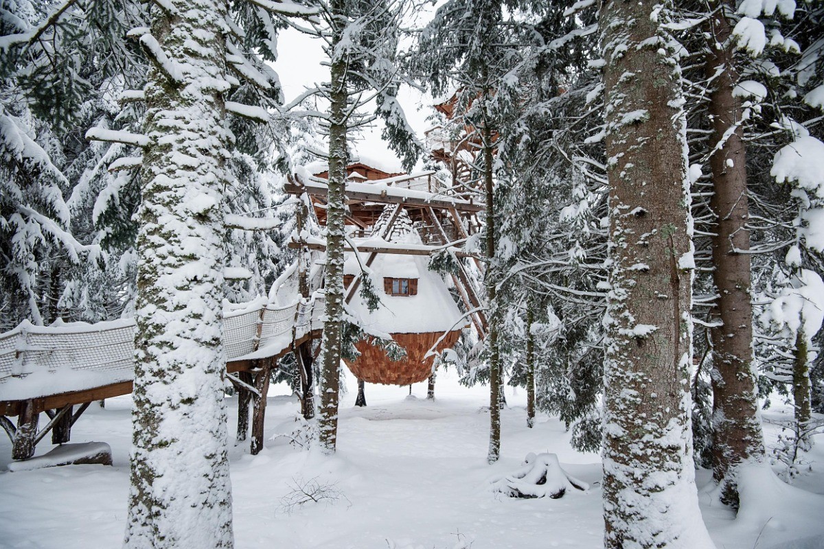 Tribu Perchée couleur d'hiver Bol d'Air (c) Michel Laurent
