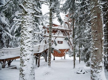 Tribu Perchée couleur d'hiver Bol d'Air (c) Michel Laurent