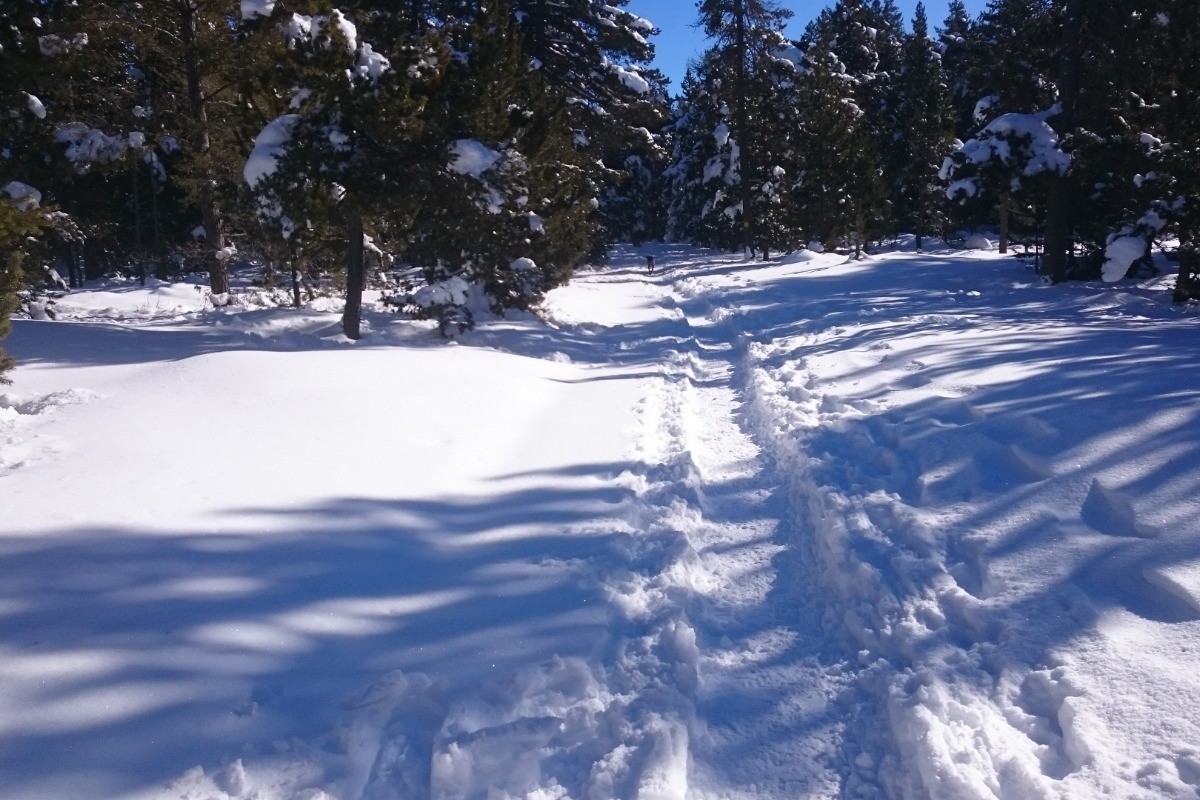 Sentier raquettes autour de Font-Romeu