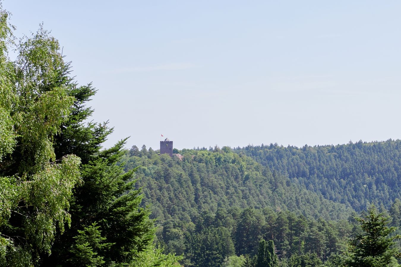 Photo n° 11 de la location