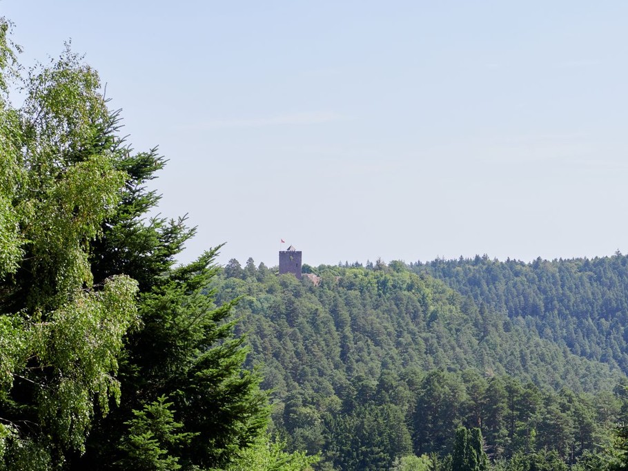 Photo n° 11 de la location