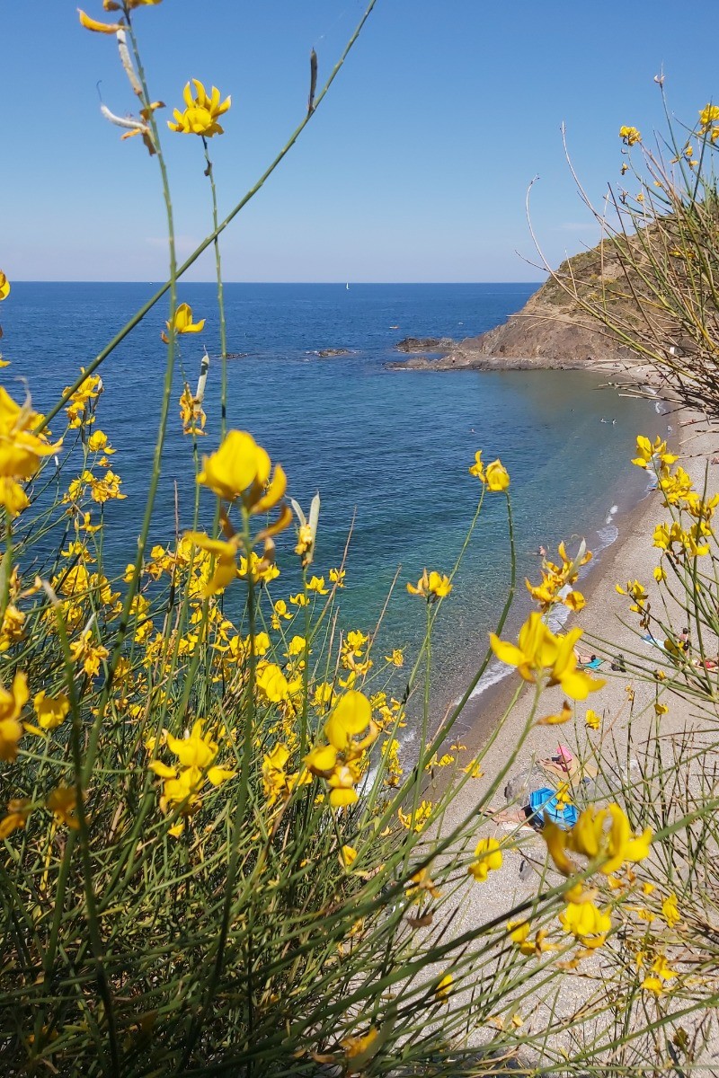 Ouille beach between Collioure and Le Racou