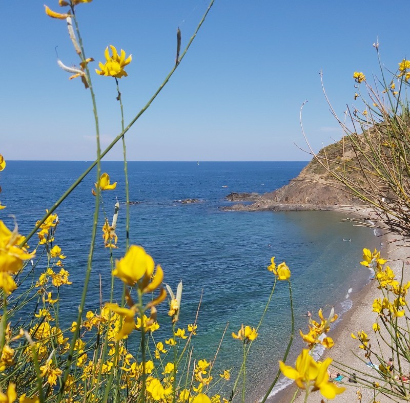 Ouille beach between Collioure and Le Racou