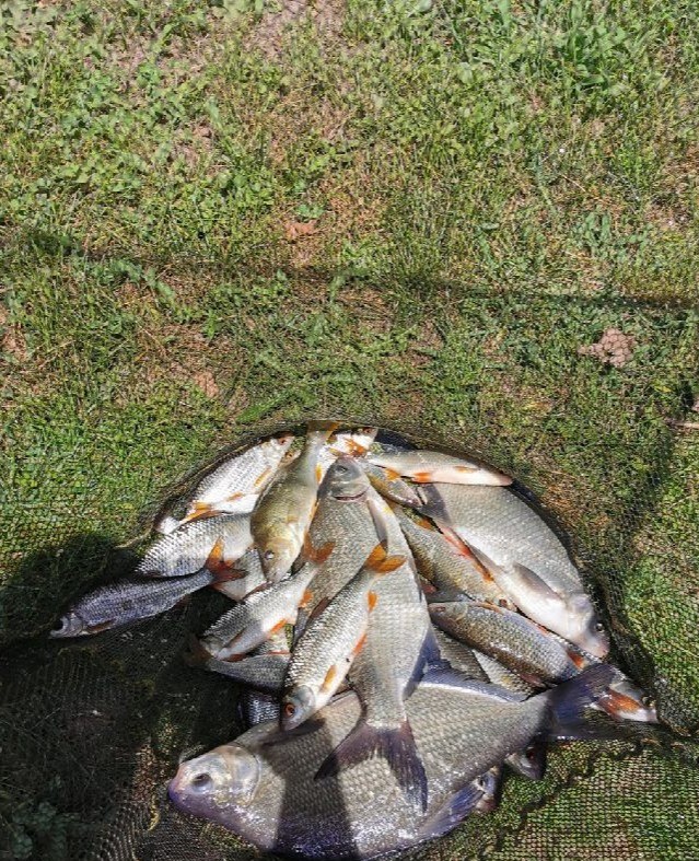 Photo n° 8 of the location