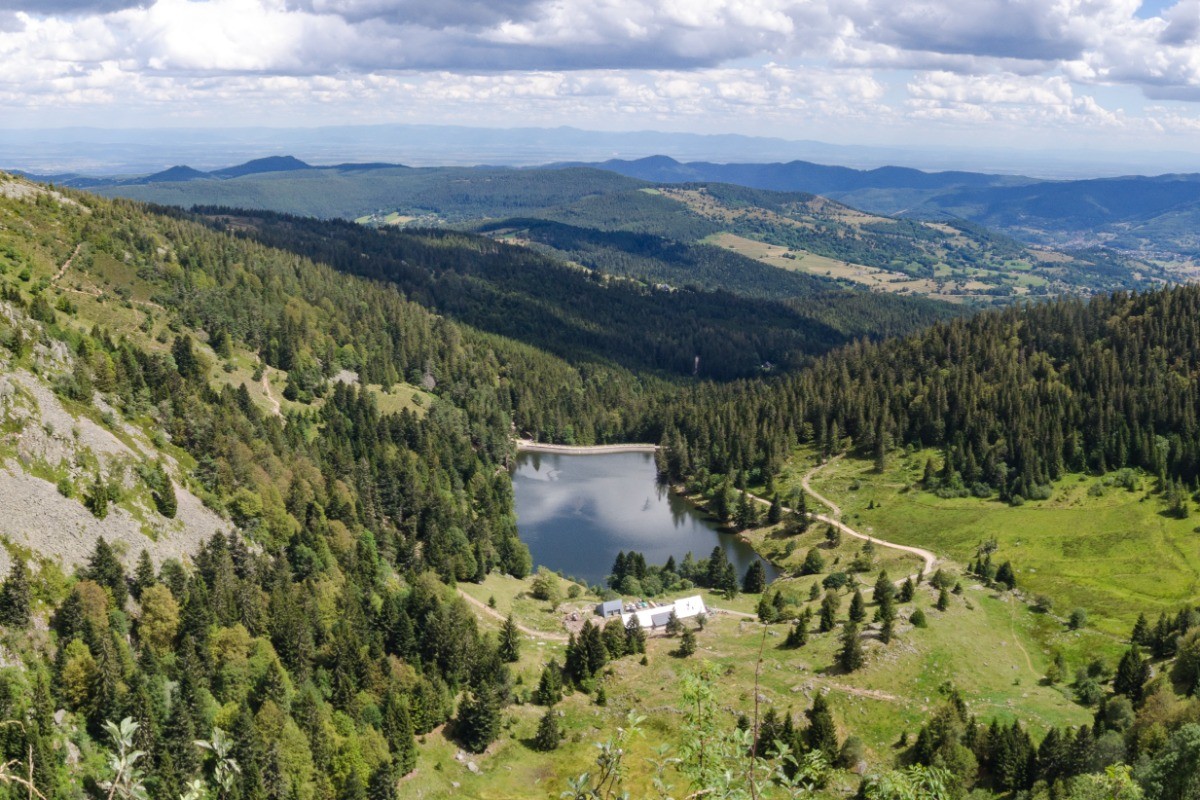 Vosges