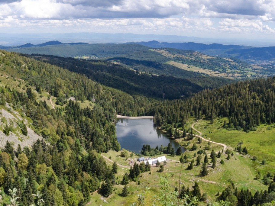 Vosges