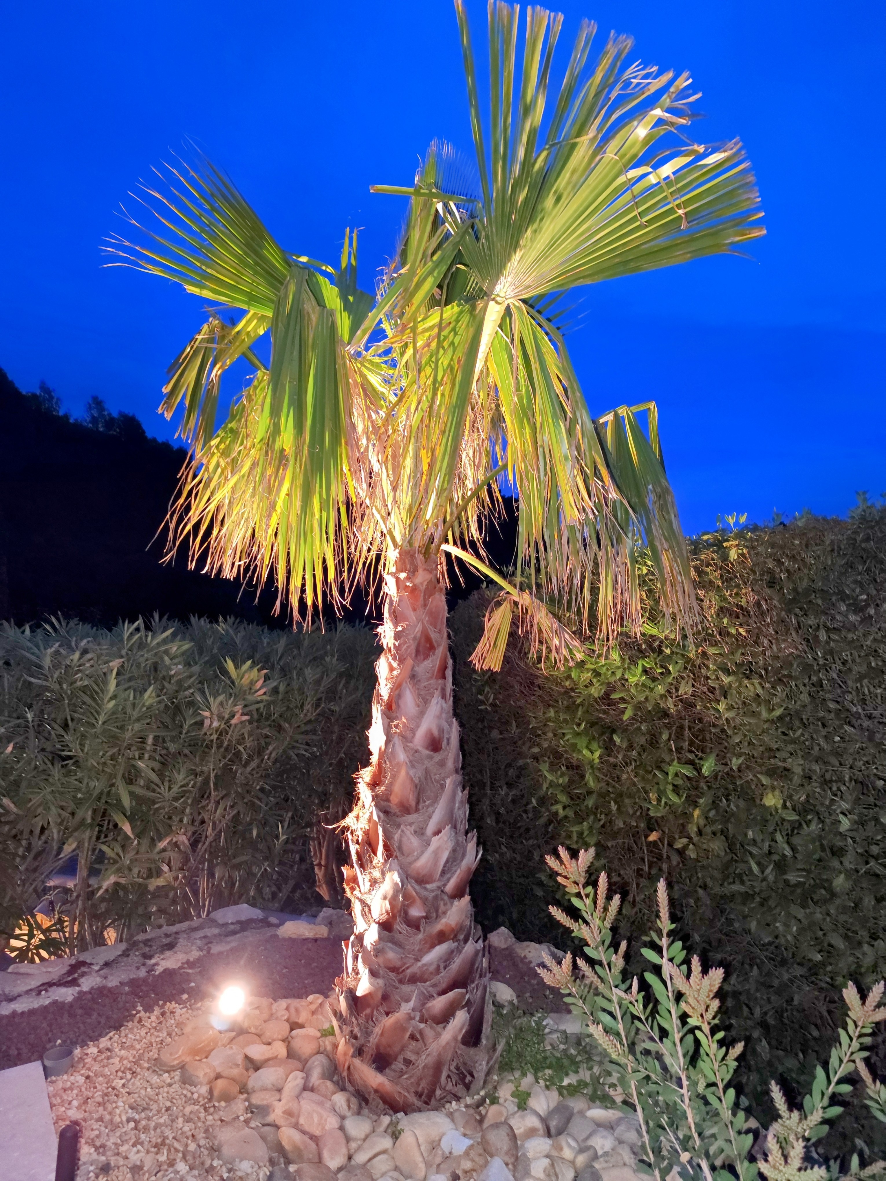 Photo n° 12 de la location