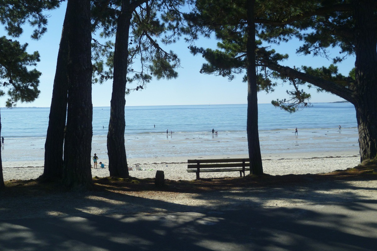 Très belle plage devant la résidence