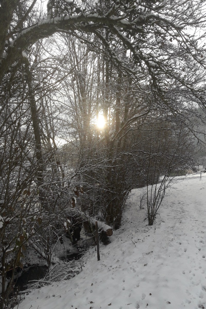 Photo n° 8 de la location