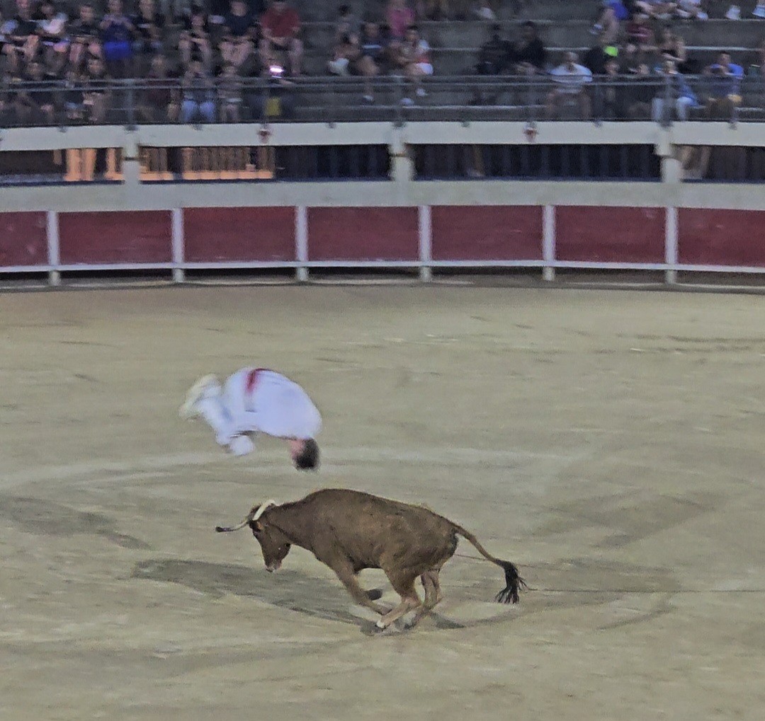 Course de raseteurs dans
Les arènes du Grau du roi