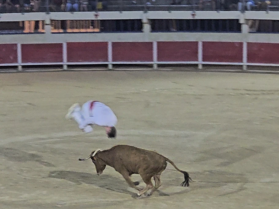 Course de raseteurs dans
Les arènes du Grau du roi