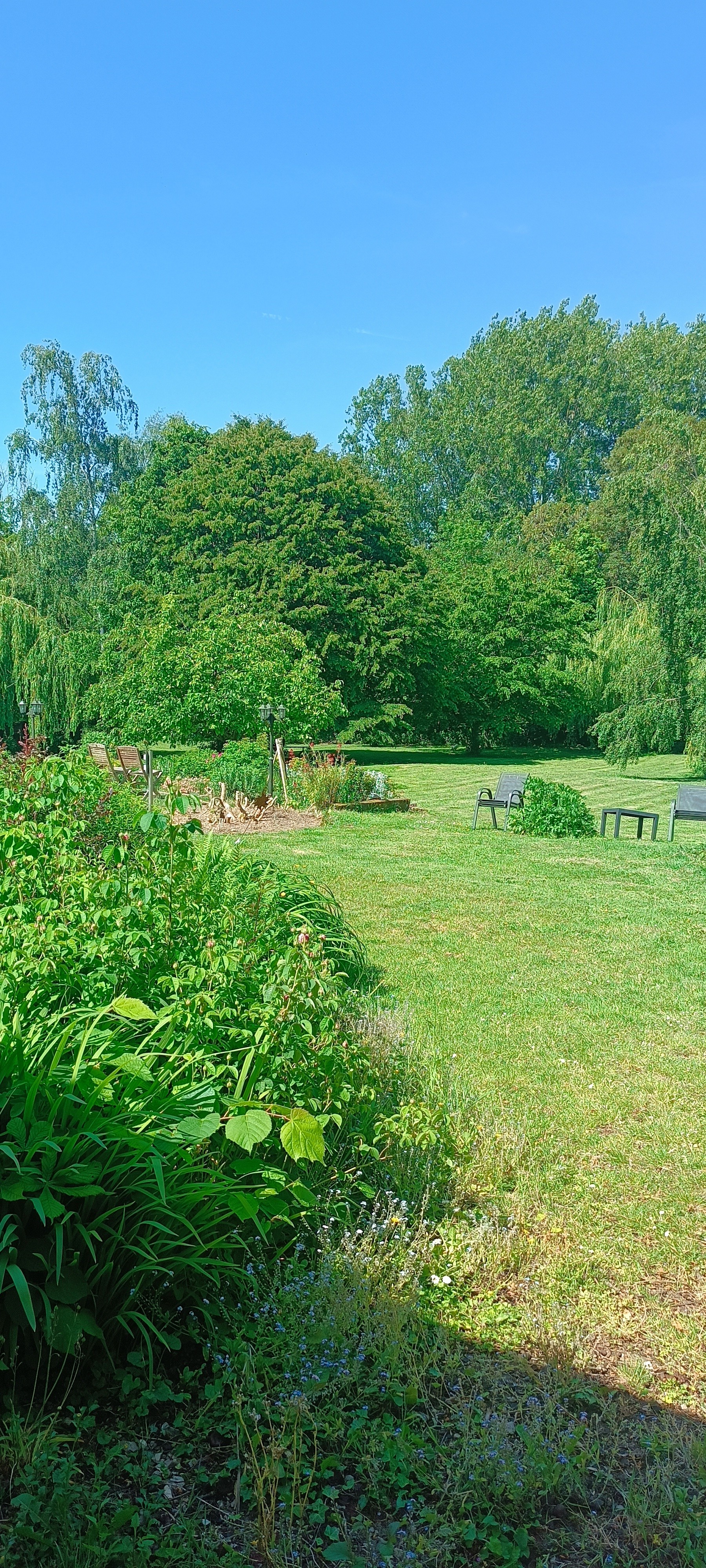 Jardin Retour du Lac Ardres