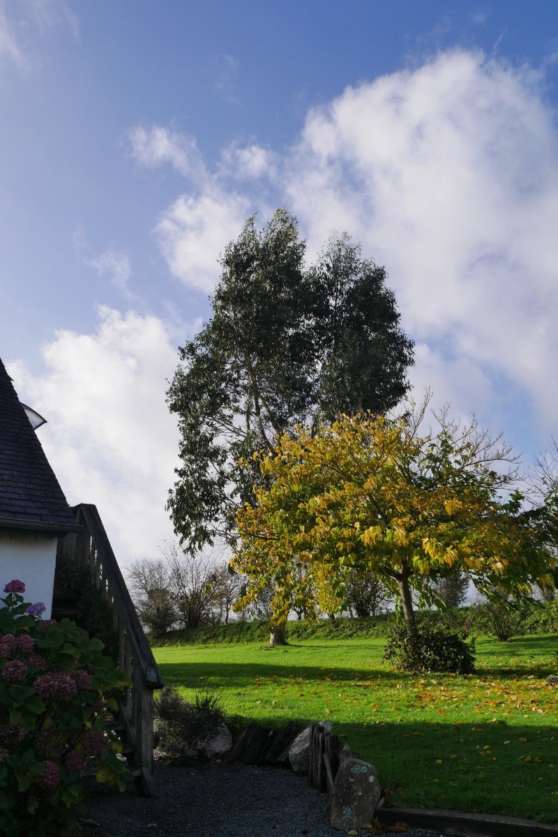 Photo n° 13 de la location