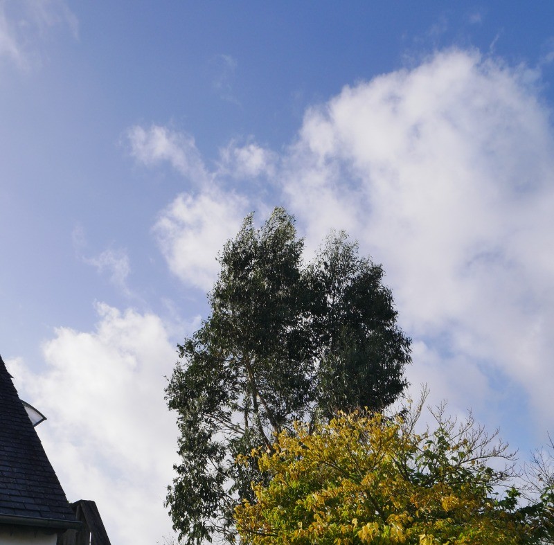 Photo n° 13 de la location