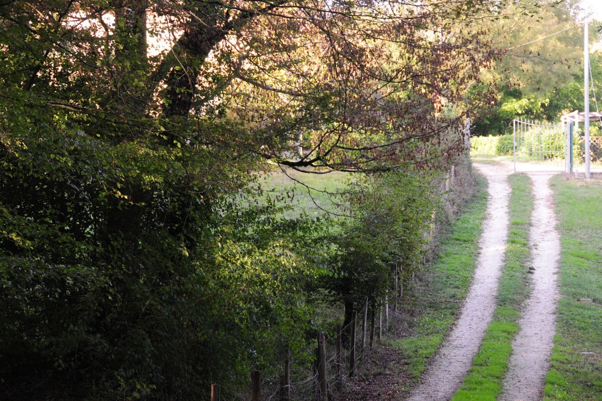 Photo n° 9 de la location