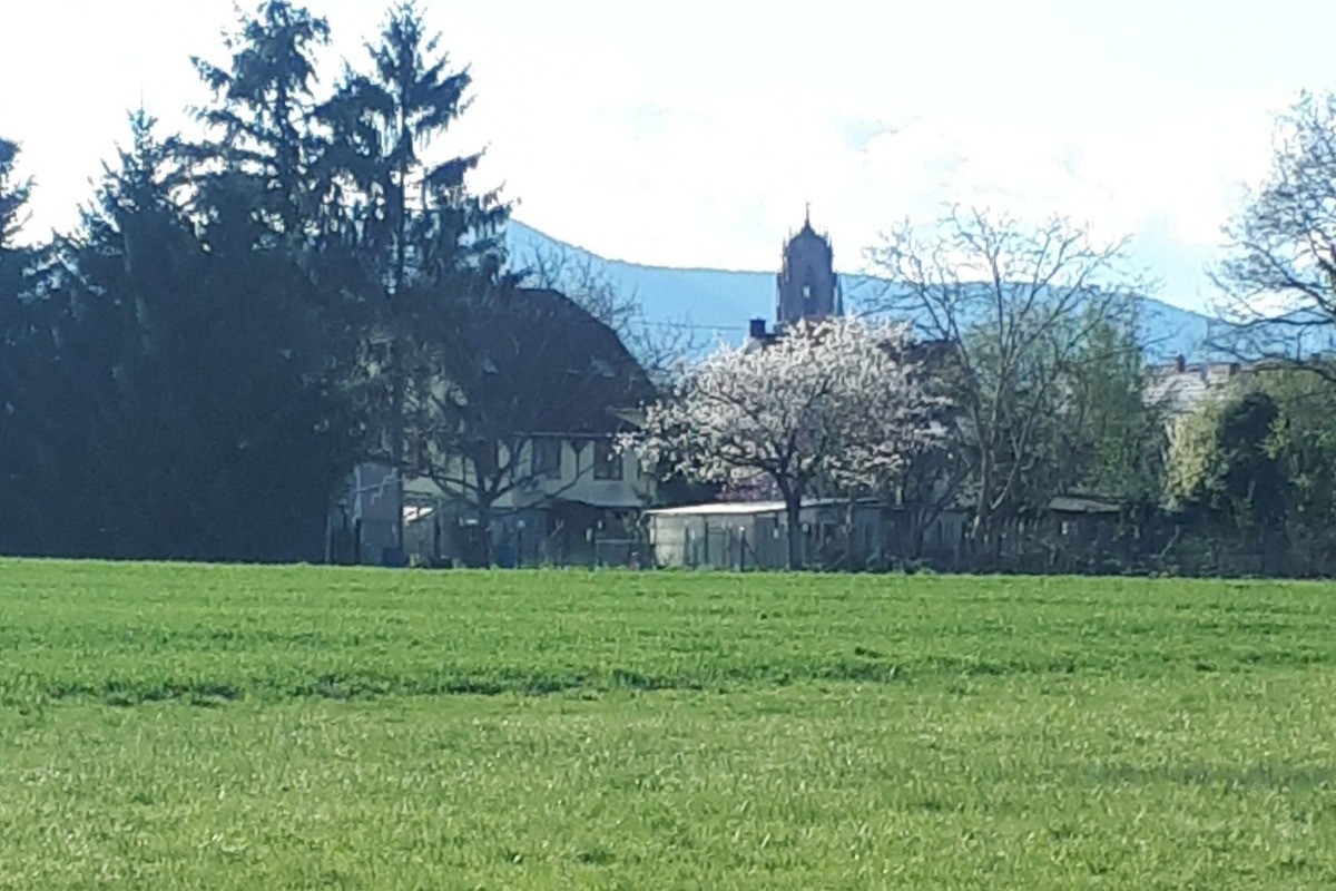 Vue depuis la Boucle Verte