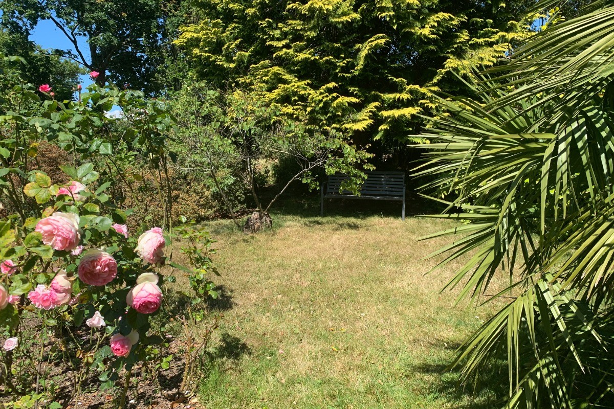Une partie des espaces extérieurs