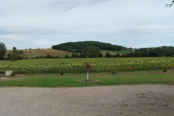 Photo n° 6 of the location