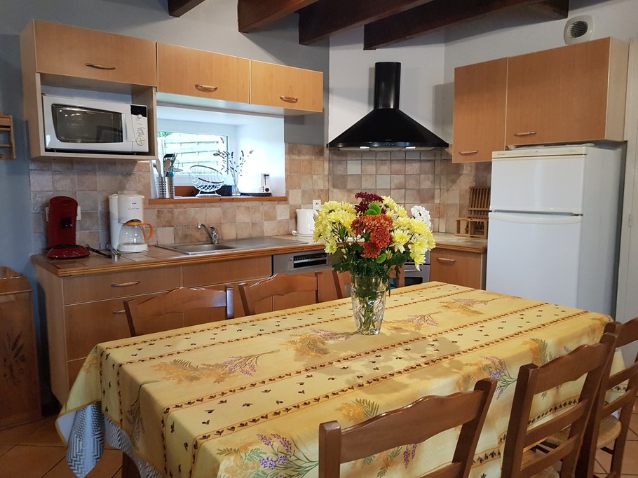 Kitchen in the living room on the ground floor