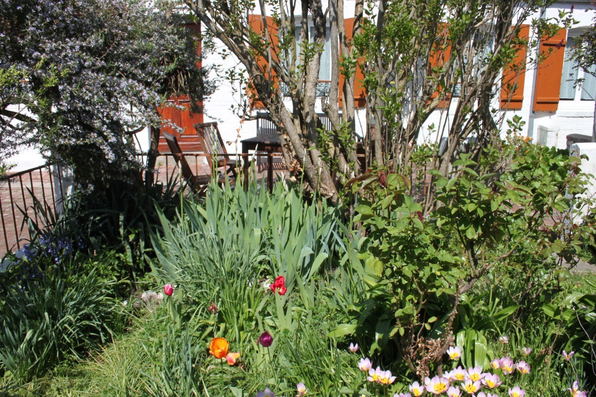 extérieur jardinet