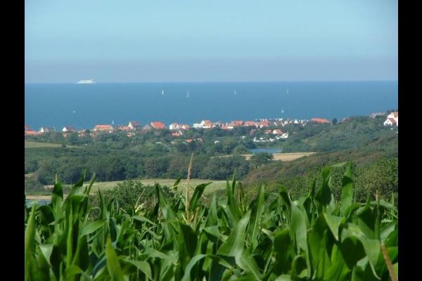 Photo n° 9 de la location