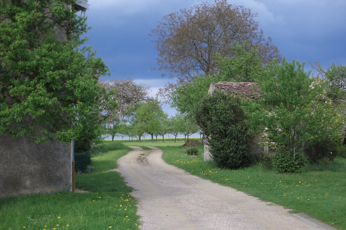 Un chemin proche de nos gîtes pour randonner en Lorraine