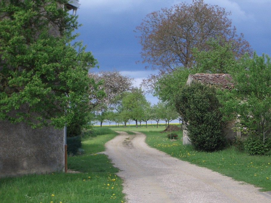 Un chemin proche de nos gîtes pour randonner en Lorraine