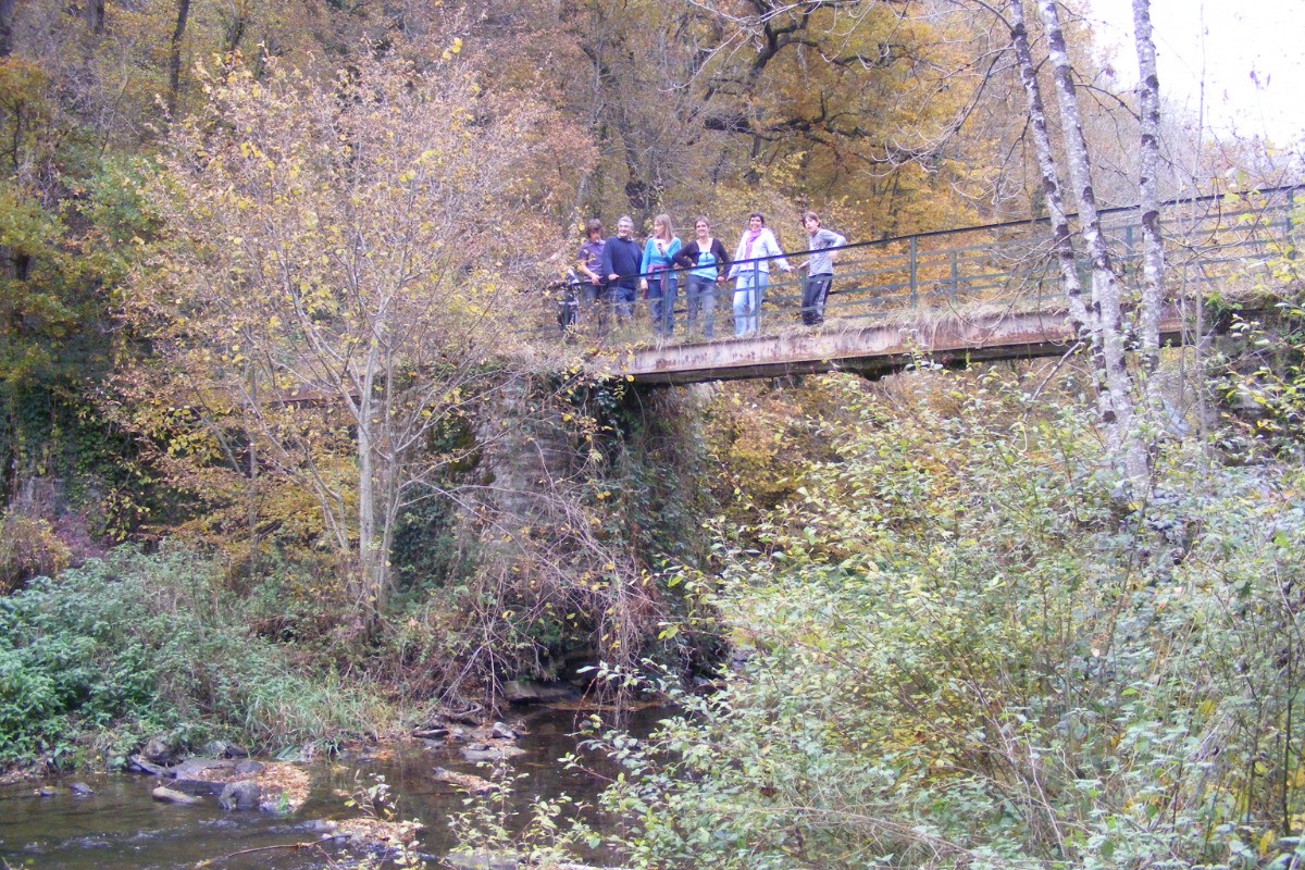 La passerelle du Mourot, près de la Fenial