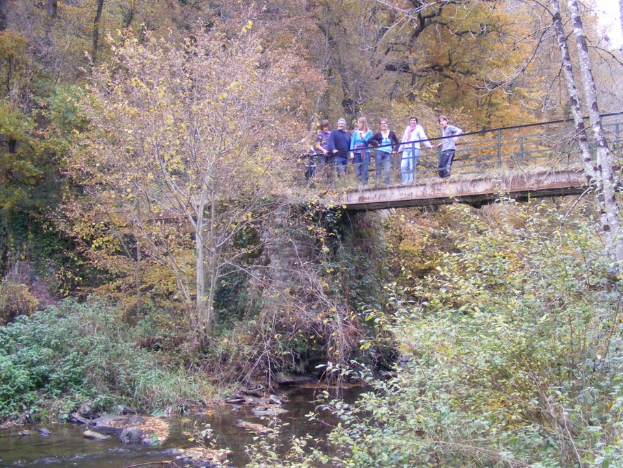 La passerelle du Mourot, près de la Fenial