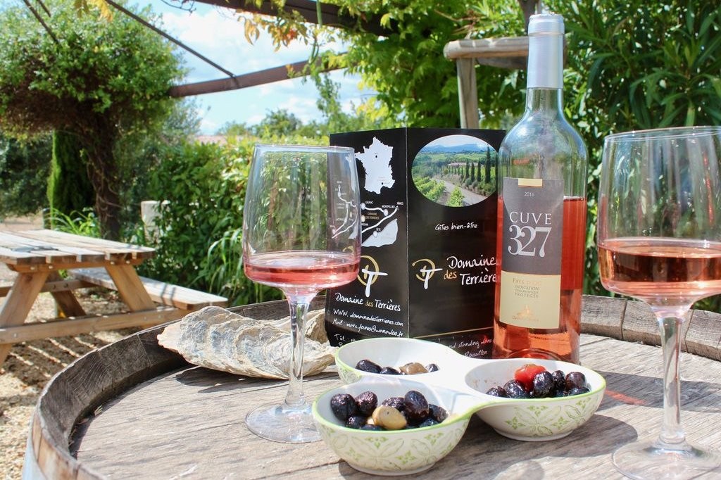 Apéritif aux vins du Domaine et aux olives de la région - Domaine des Terrières