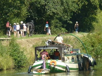 Péniche tractée par cheval de trait sur Canal Nantes Brest