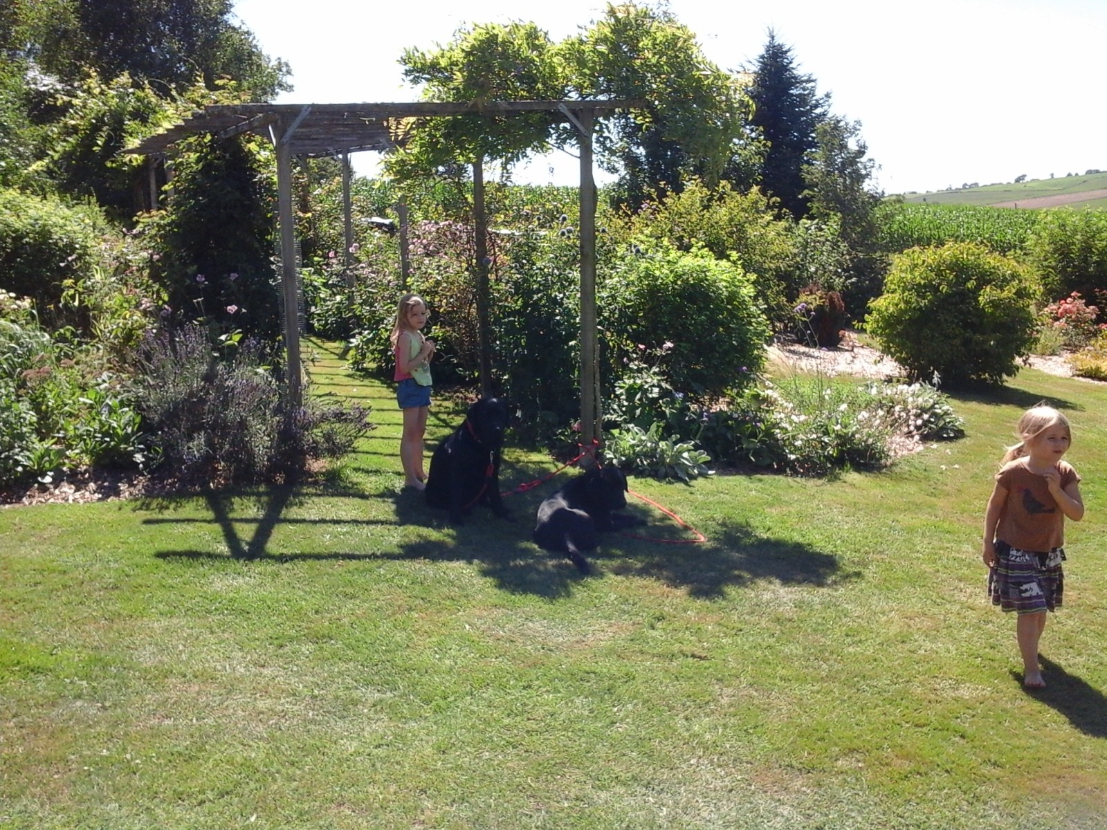 Photo n° 3 of the location