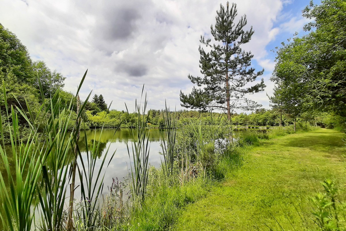 Etang privé !