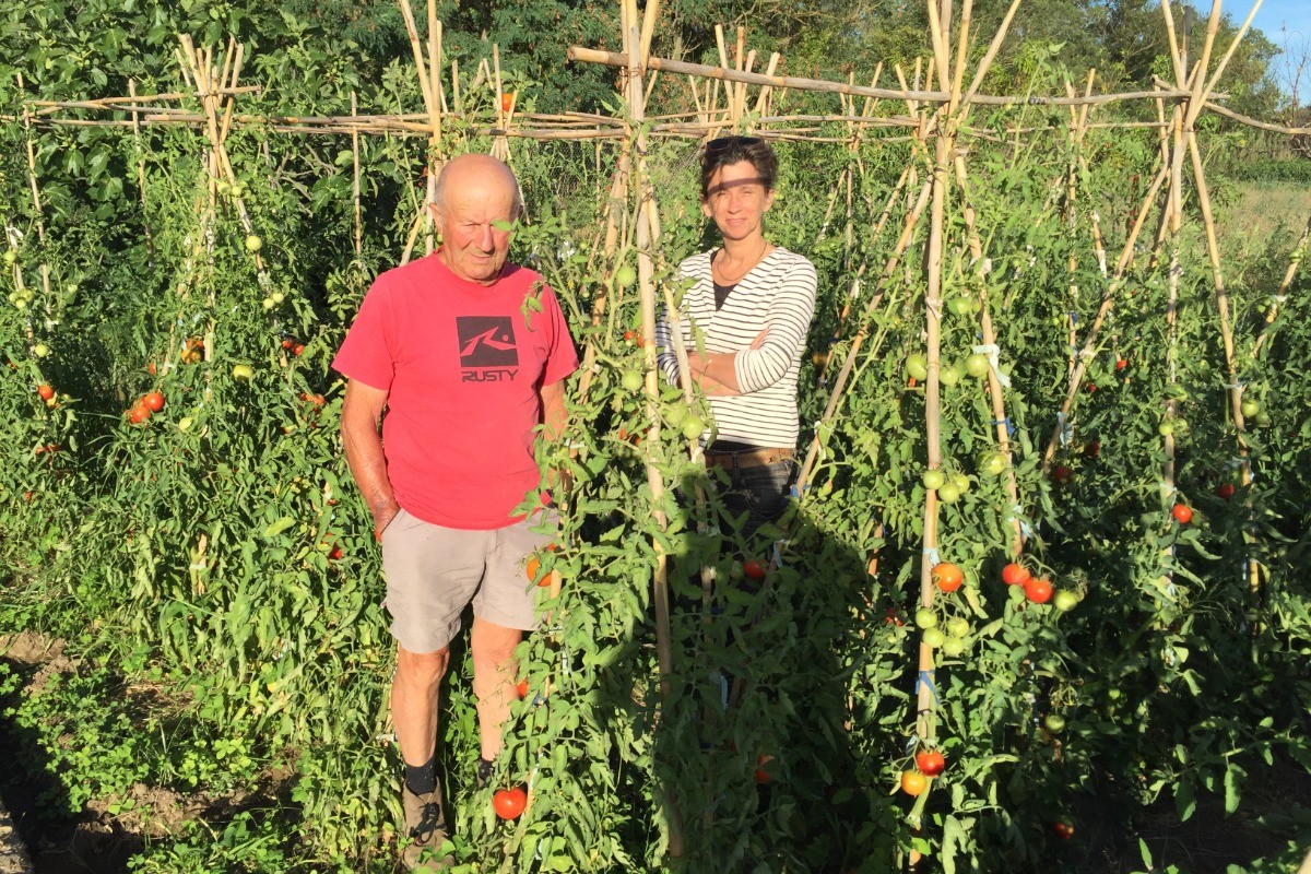 Domaine des Terrières - le potager