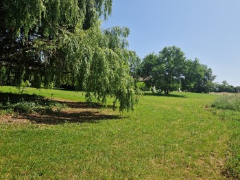 Photo n° 15 de la location