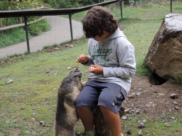 Aran Park et les marmottes