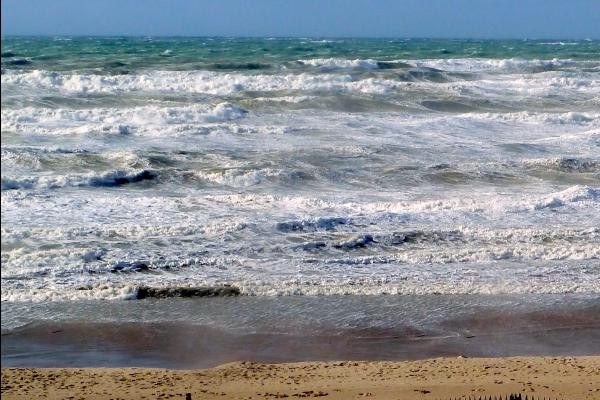 BAIN DE MER VIVIFIANT...