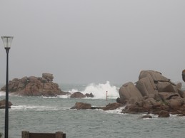 Vue du jardin - tempête