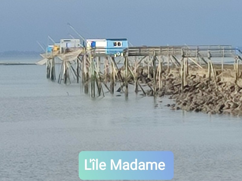 Photo n° 6 de la location