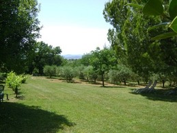 Le parc et le champ d'oliviers, chaises longues et salon de jardin.