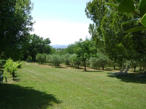 Le parc et le champ d'oliviers, chaises longues et salon de jardin.