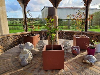 Photo n° 8 de la location