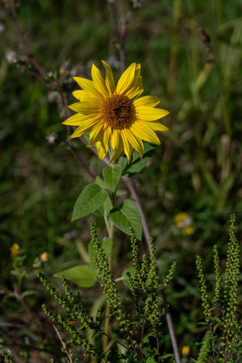 Photo n° 14 de la location